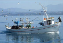 Ενίσχυση επαγγελματικής αλιείας