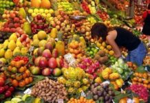Δυναμική αύξηση 21% στην αξία των Ελληνικών εξαγωγών φρούτων και λαχανικών το 2023 - Ρεκόρ εσόδων στα 1,7 δισ. Ευρώ