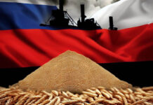 Δασμοί θα μπουν στα εισαγόμενα σιτηρά από τη Ρωσία και τη Λευκορωσία